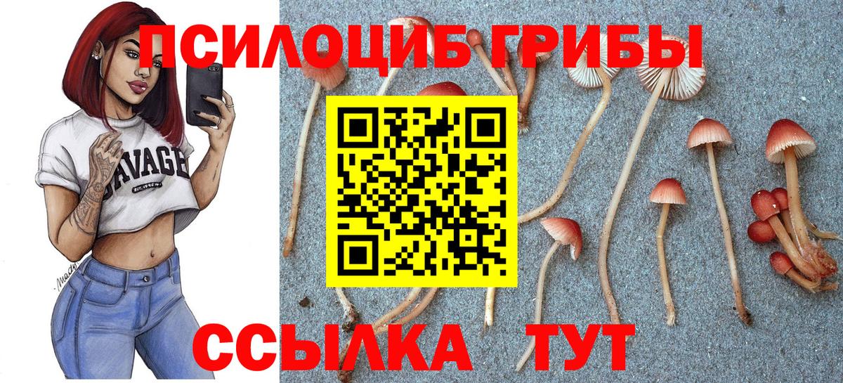 Галлюциногенные грибы Psilocybe  Вход с VPN  Галлюциногенные грибы Magic Shrooms  Нижний Новгород 