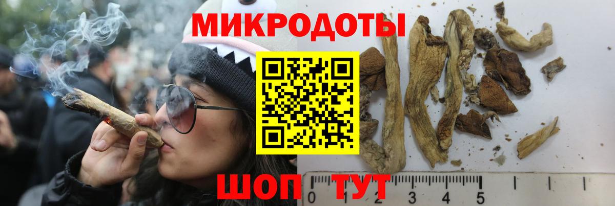 Псилоцибиновые грибы мухоморы Нижний Новгород